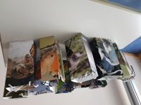 K800_20221215_153158