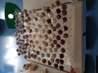 K800_20221215_153427