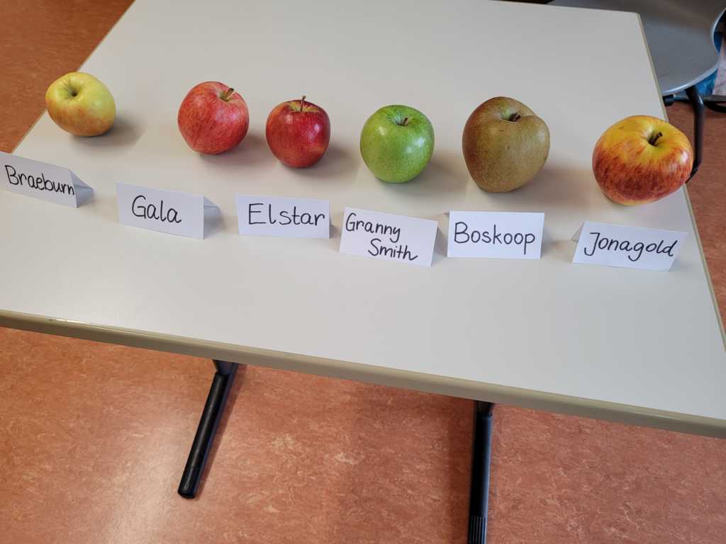 K1024_20240924_0941501 K1024_20240924_0941501