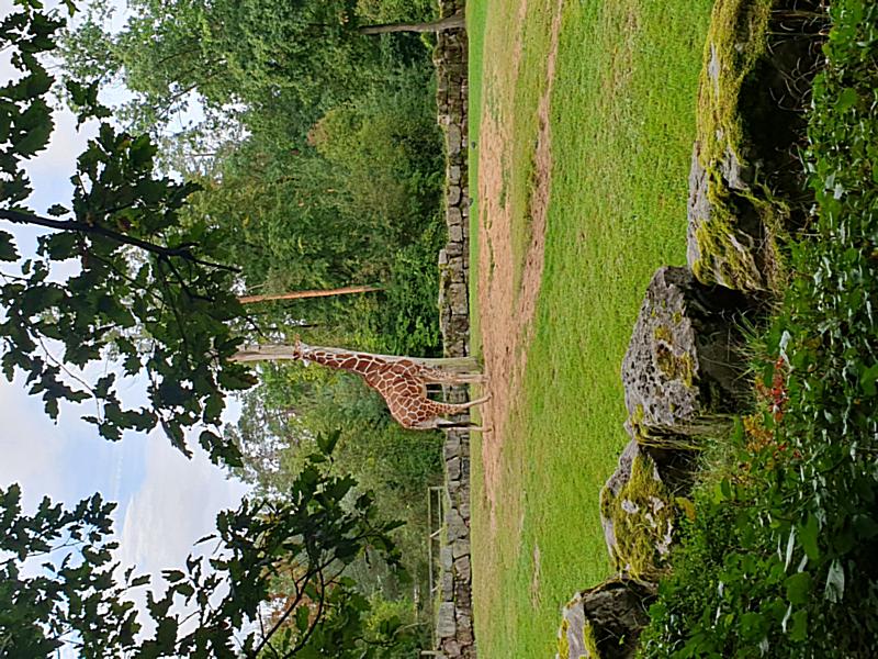 20230919_095517_2023-09-25_05_34_44