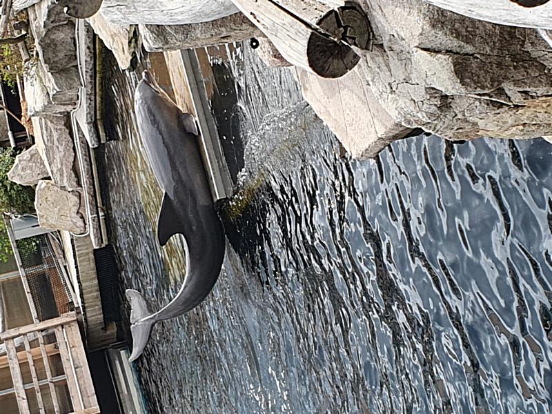 20230919_112408_2023-09-25_05_34_45