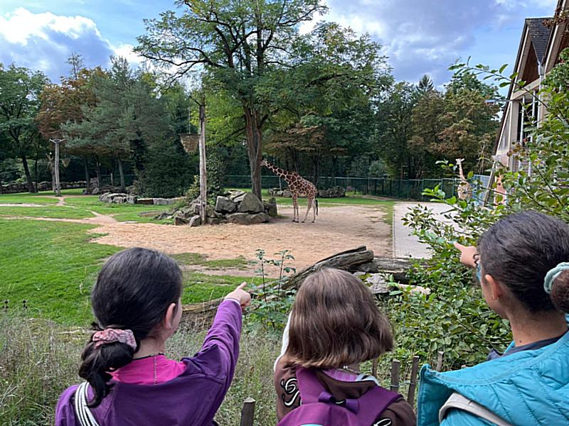 9566d789-f2ca-4c5c-ac40-a9bc7ad13780_2023-09-25_05_34_43