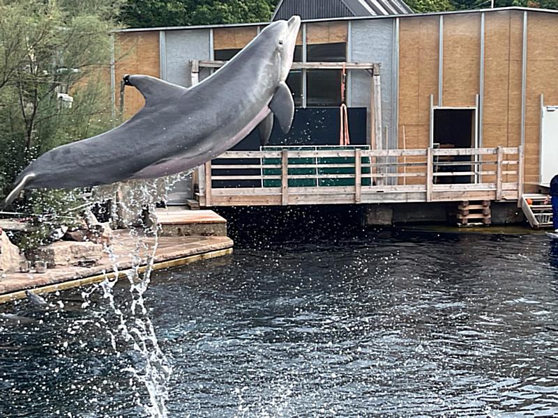 IMG_3104_2023-09-25_05_34_47