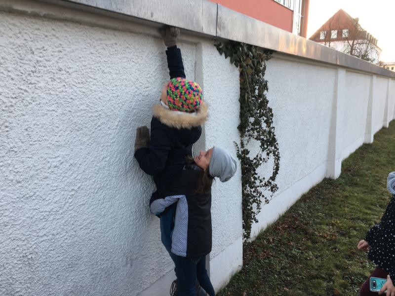 Foto 30.01.18, 08 17 03