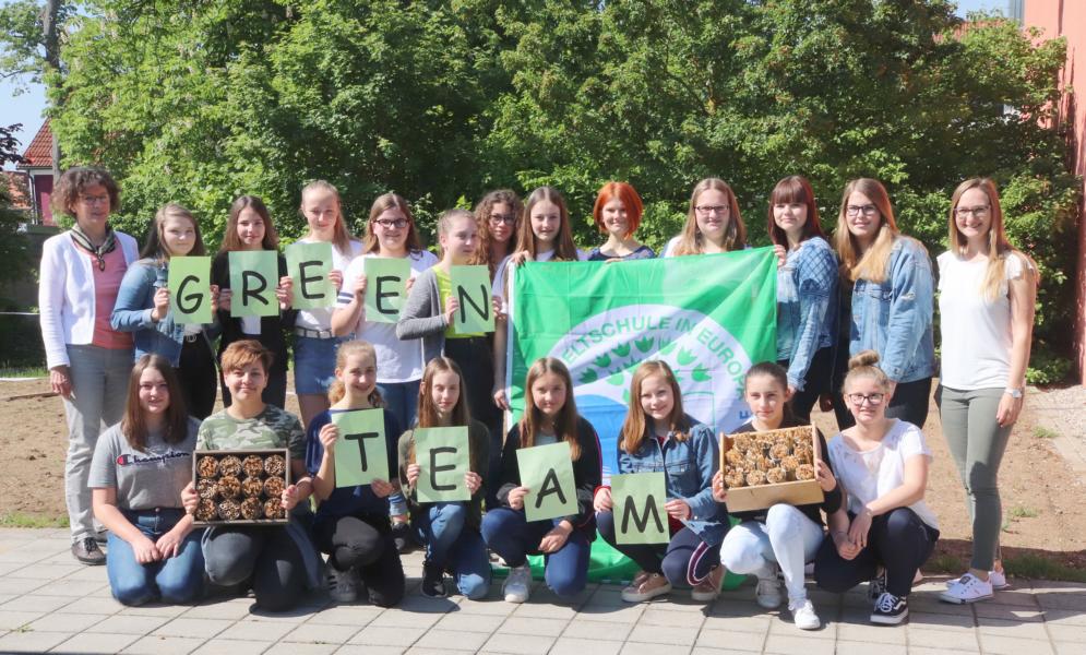 Hauptbild Greenteam Insektenlebensräume