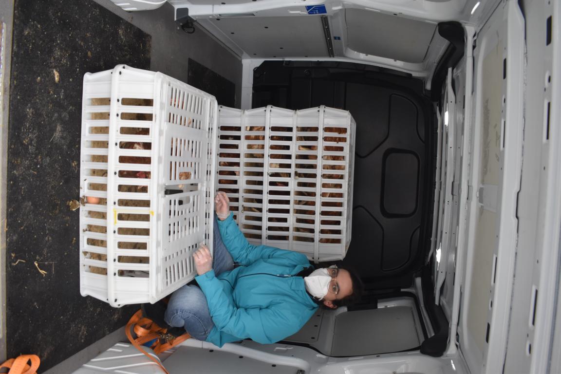 DSC_0729 - Kopie - Kopie - Kopie - Kopie