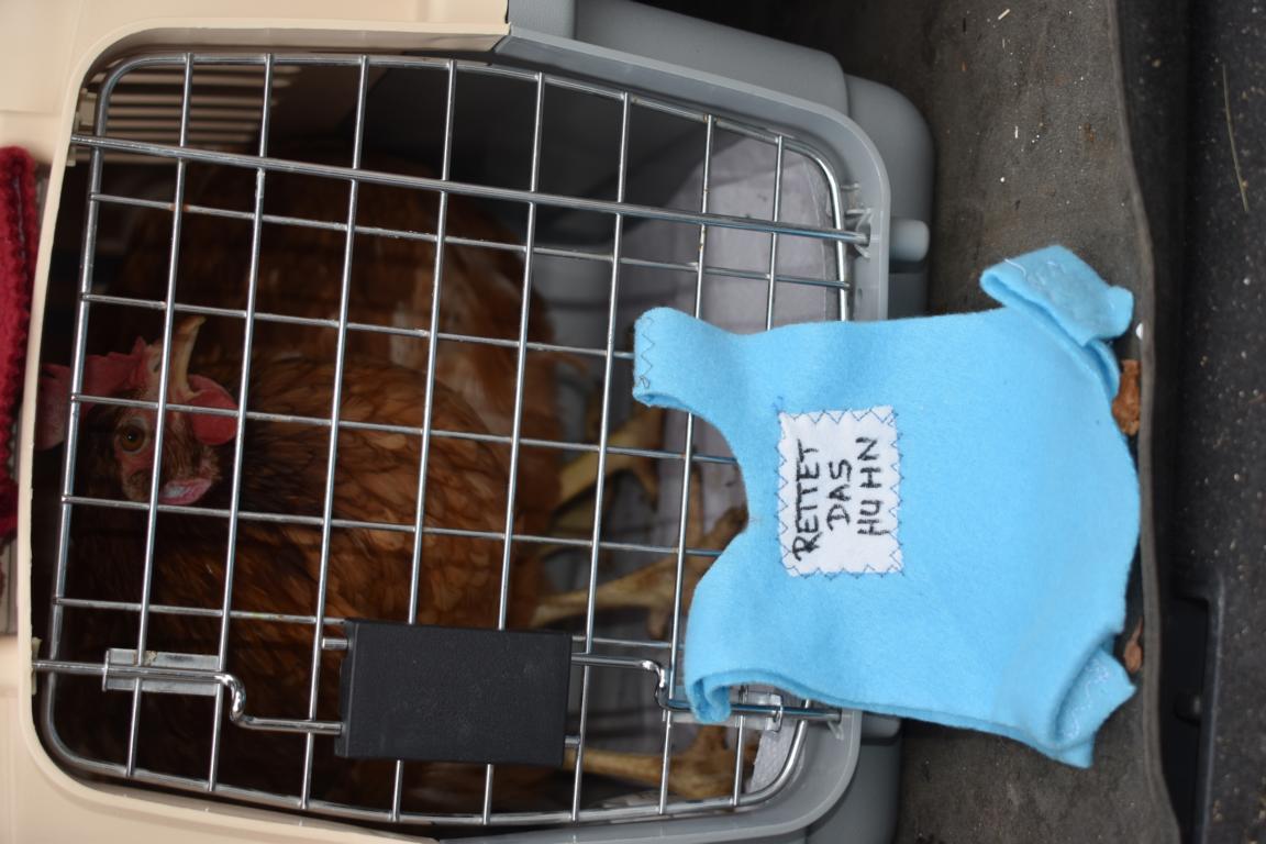 DSC_0741 - Kopie - Kopie - Kopie